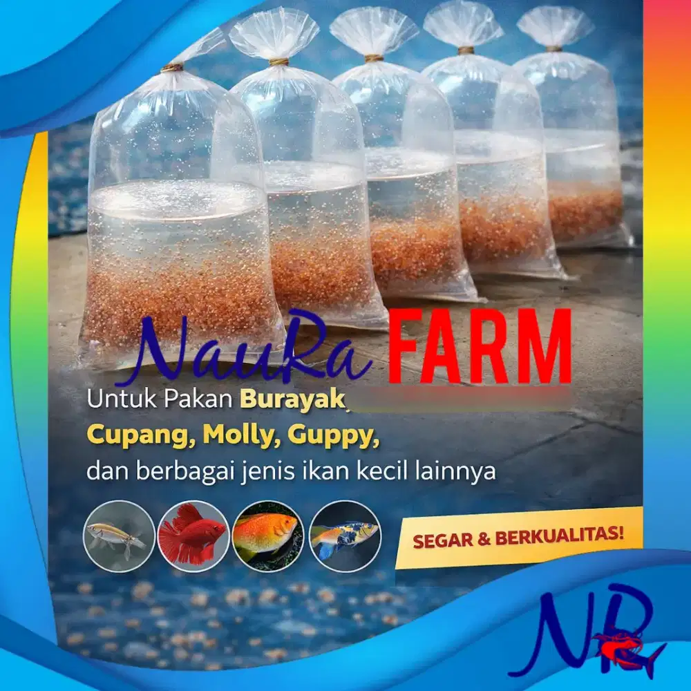 Kutu Air Pakan Burayak DAPHNIA MAGNA Mikro Ikan Hias Makanan Ikan