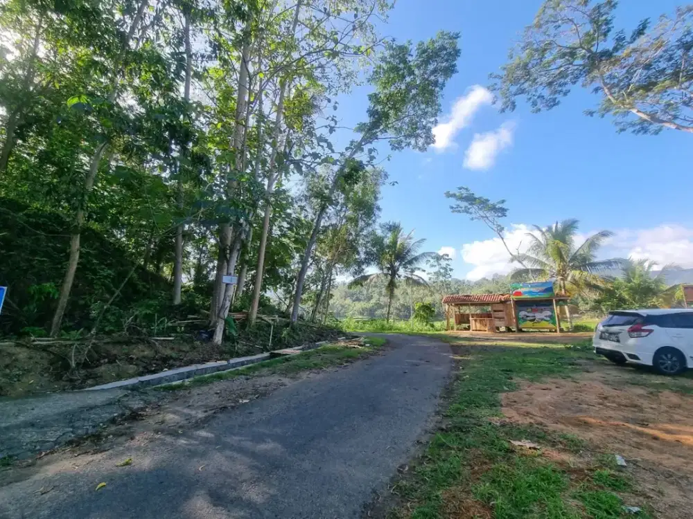 Dijual tanah View Waduk Sermo Kulonprogo yogyakarta, Lingkungan yg masih asri dengan akses jalan aspal Mobil leluasa