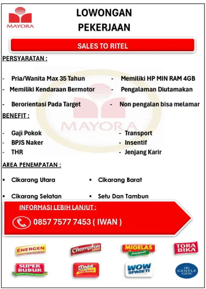 Lowongan pekerjaan sales to ritel mayora