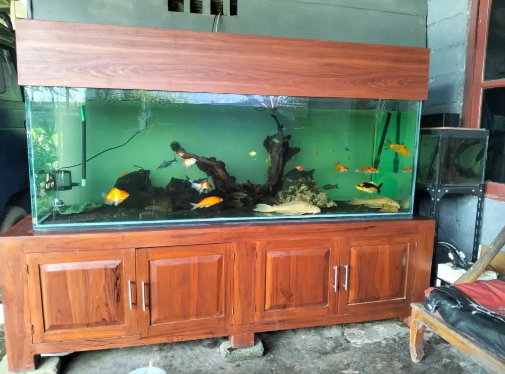 Aquarium jumbo Full Set