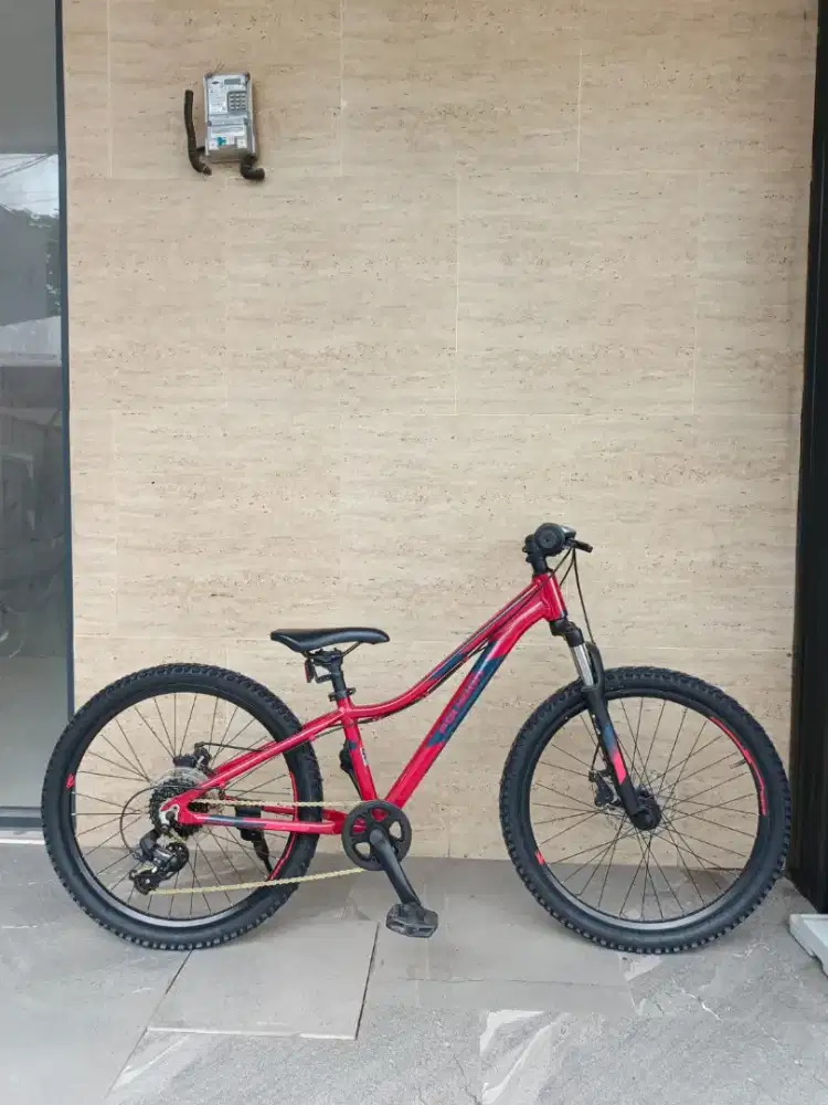 Sepeda 24 Polygon Relic Mulus