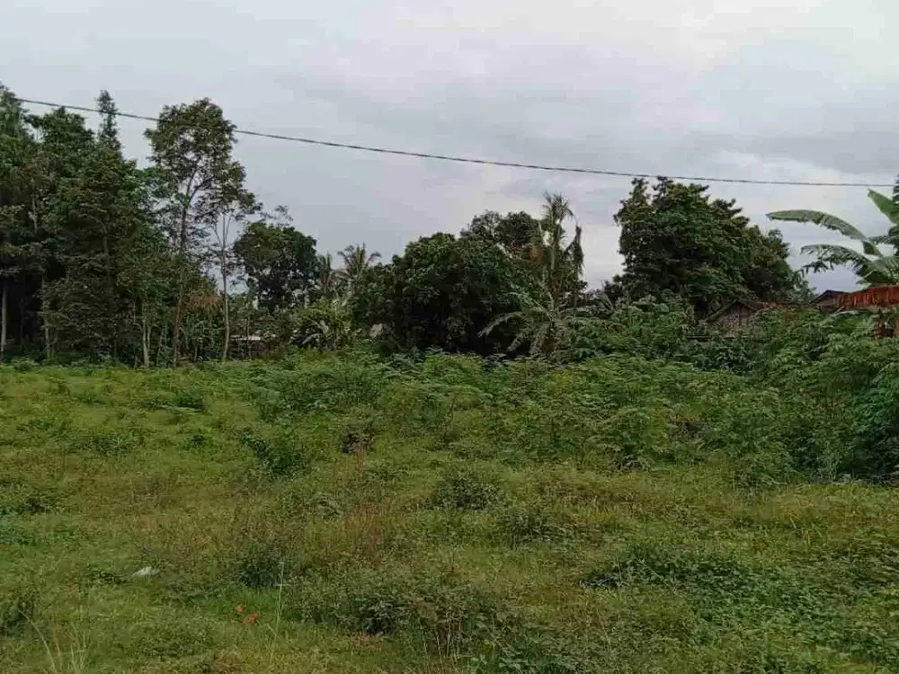 Dijual Tanah Pekarangan Selomartani 100 Meter dari Purwomartani