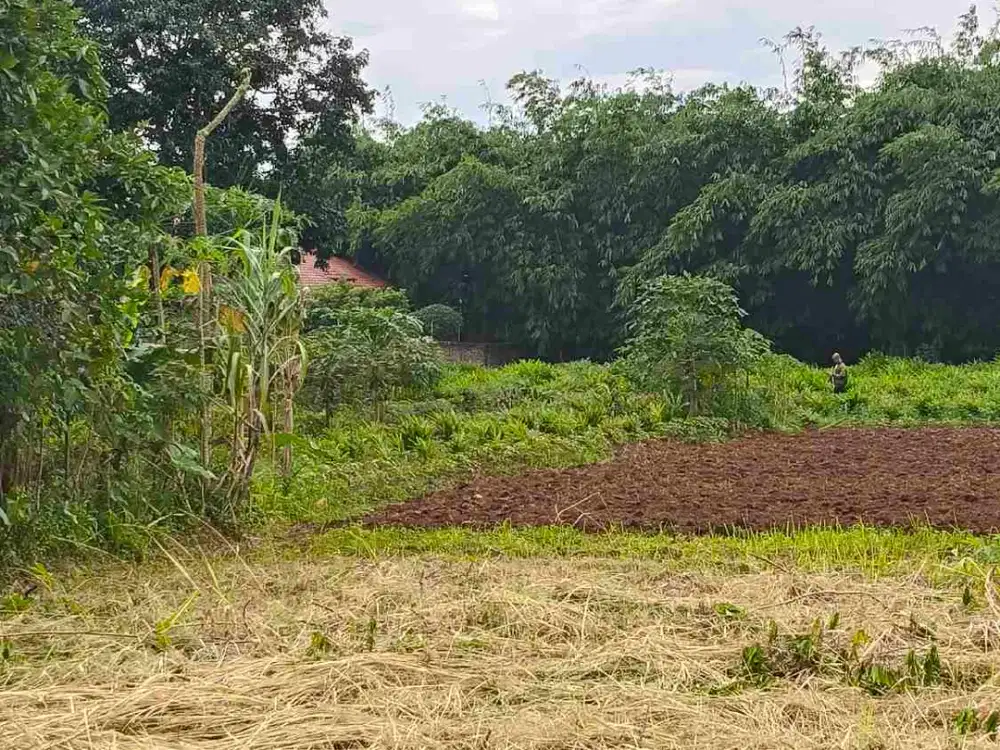 Tanah Siap Bangun Strategis Bebas Banjir 10 Menit dari Tol