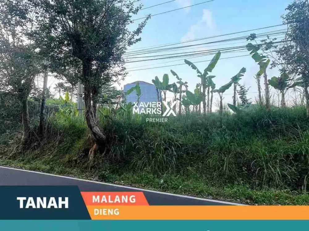 DIJUAL TANAH PROSPEKTIF STRATEGIS DEKAT DENGAN KAMPUS UB DIENG MALANG