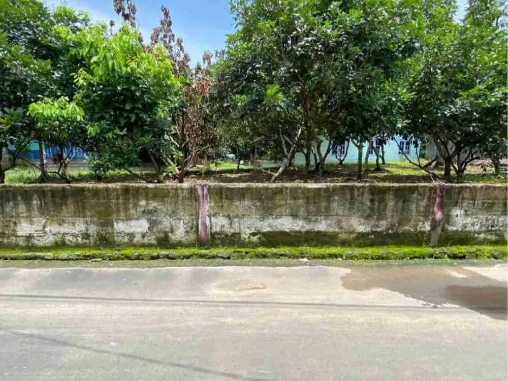 MURAH! Tanah Asri Akses Bagus Area Mlati Dekat Terminal Jombor, RSA. UGM, Jogja City Mall