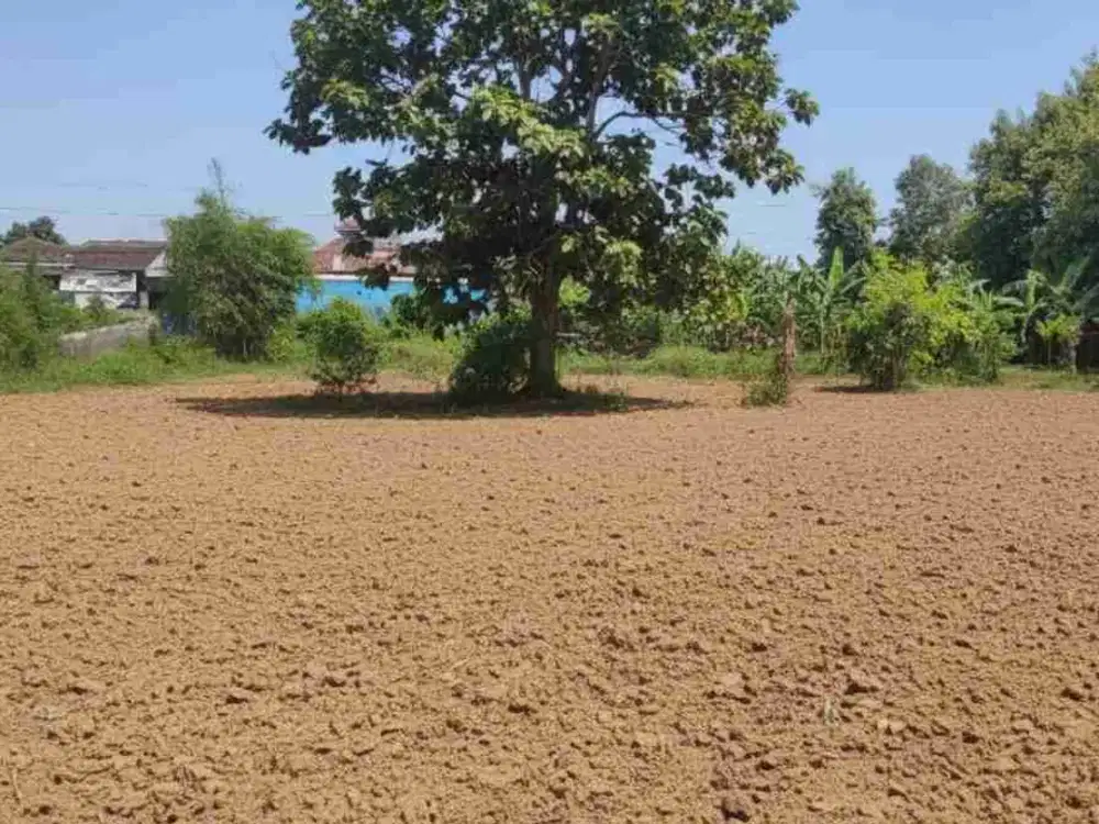 Dijual Tanah Shmp dekat Lapangann Jambidan