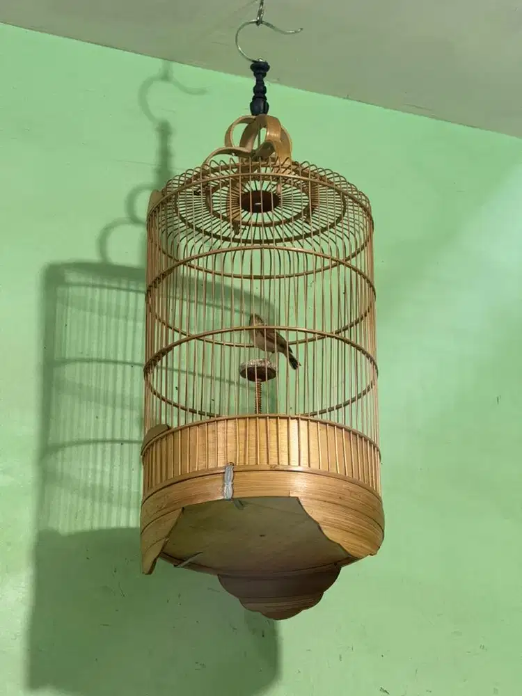 branjangan ngeriwik fullset