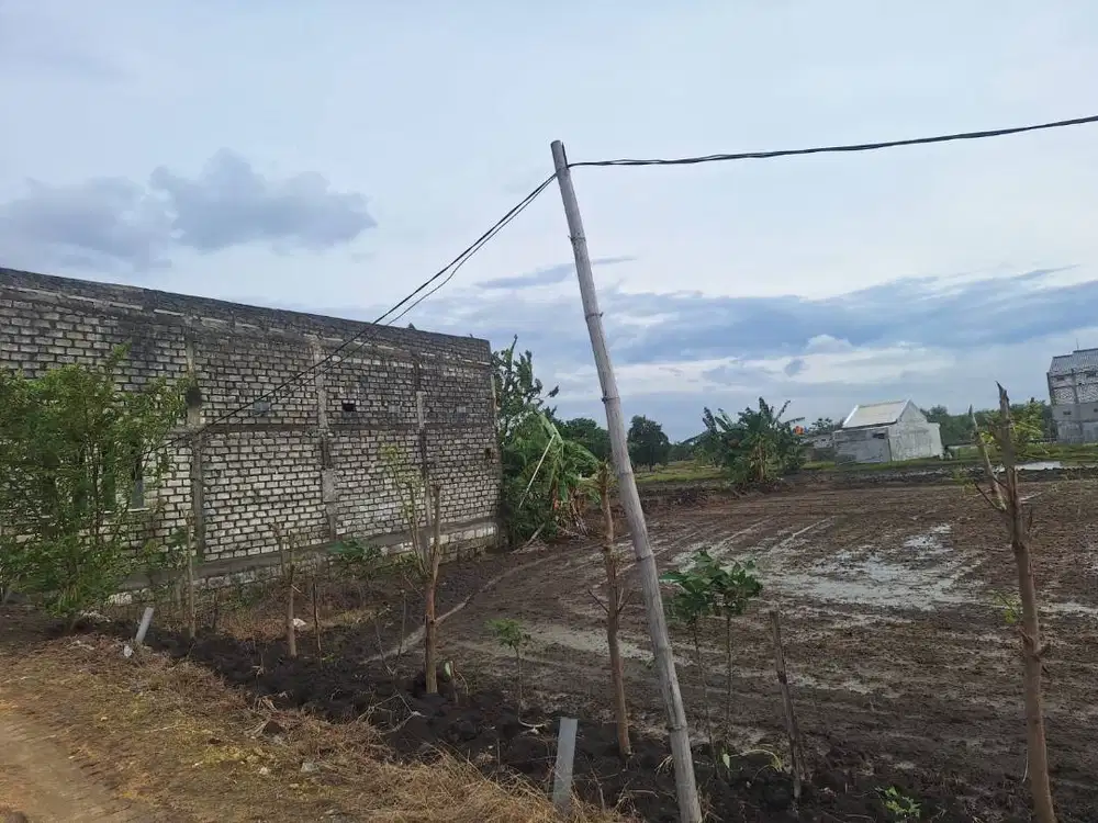 Dijual cepat tanah di ds ngembung cerme,