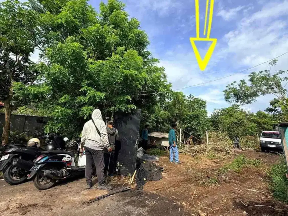 Di jual tanah 5,60 are
Lokasi di pondok kampial jln dharmawangsa nusadua