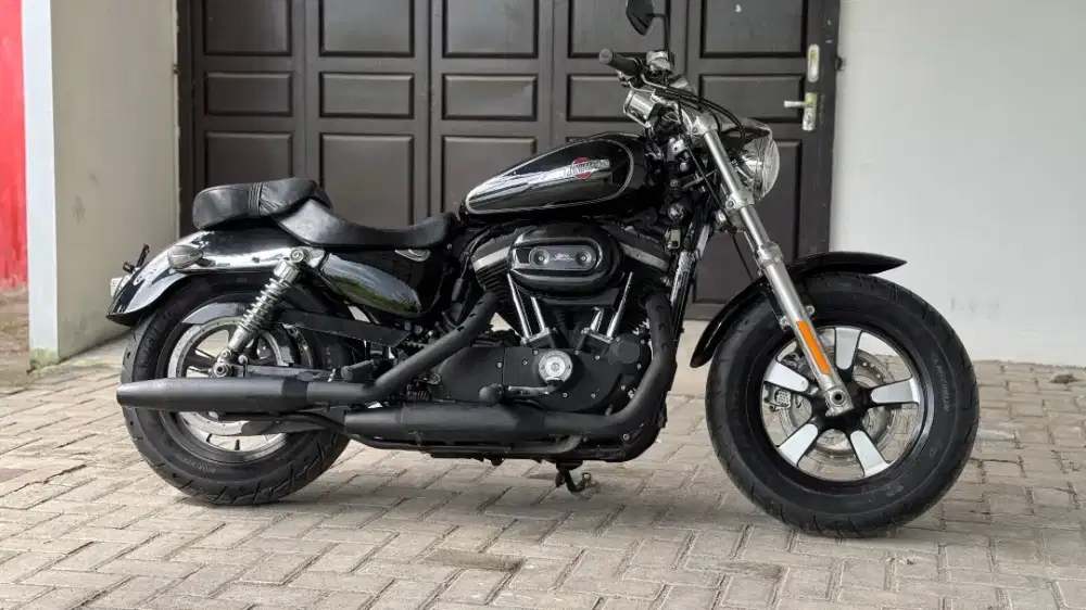 Sporster XL1200 CUSTOM 2014 SPORTER 48