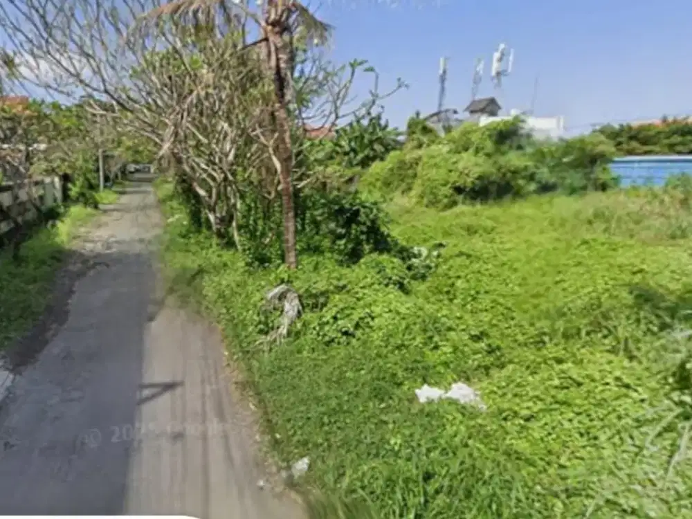 Dijual tanah bagus di jalan dewi madri renon