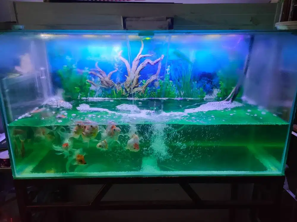 Aquarium 1 Meter Full Set + Meja & Filter