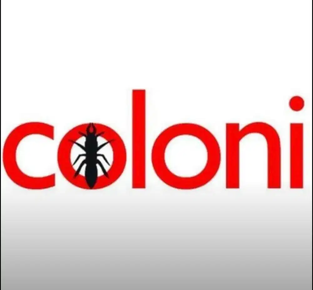 SUPPORT STAFF - COLONI