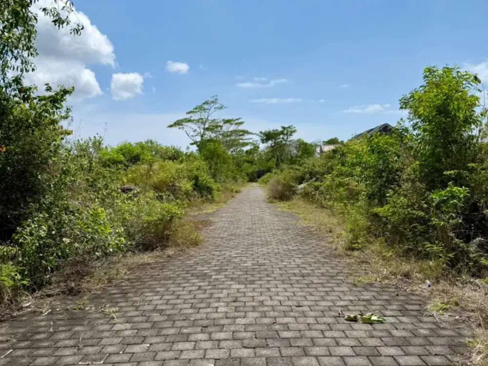 Tanah Dijual di Area Nusa Dua, Cocok untuk Investasi