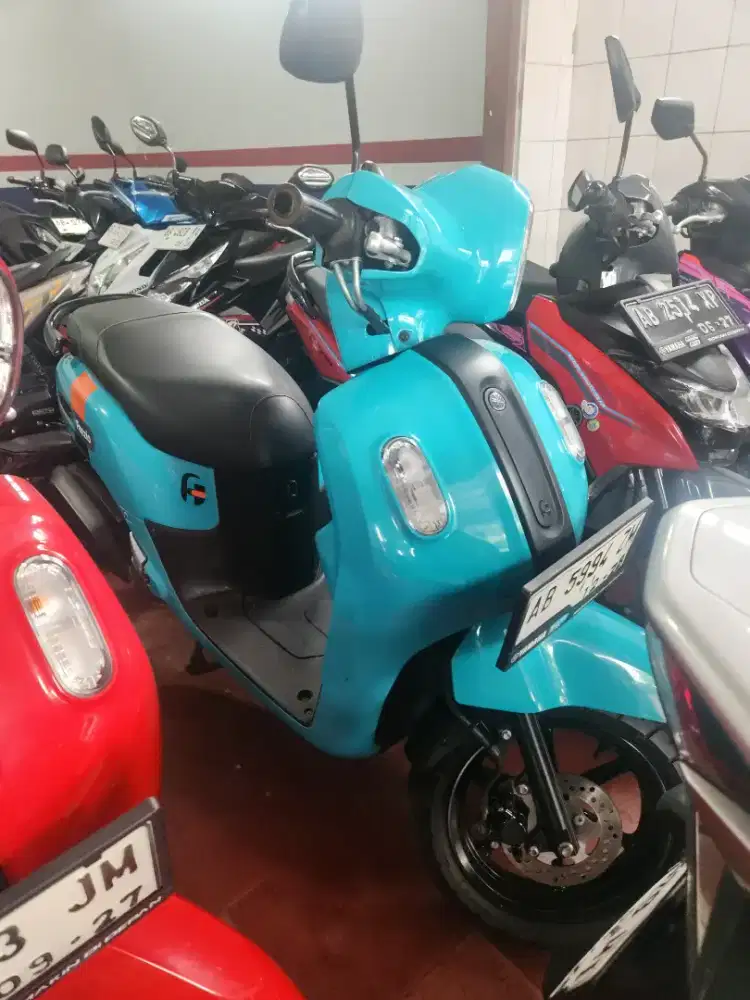 Fazzio hijau tosca 2023 Gbm