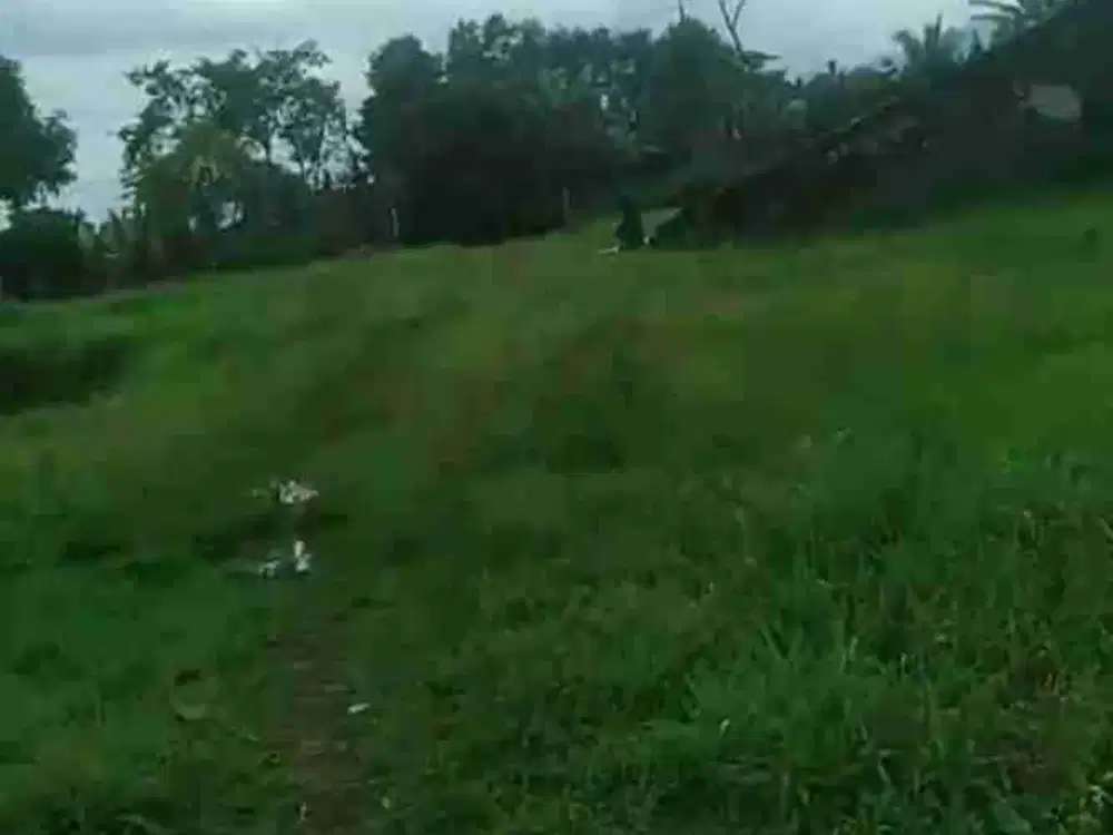 di jual lahan SHM view gunung di Cicurug Sukabumi