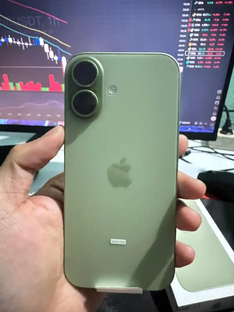 Iphone 17 256 GB Sage