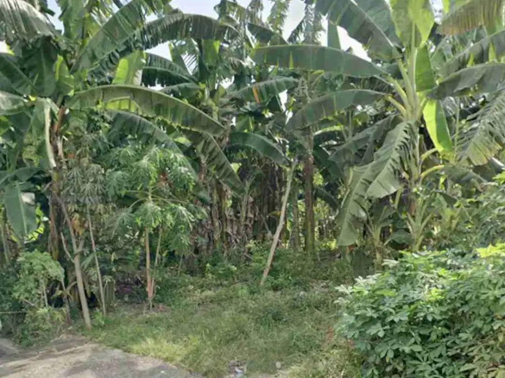 ‼️Tanah Murah Siap Bangun Siwalankerto Dekat UK PETRA‼️