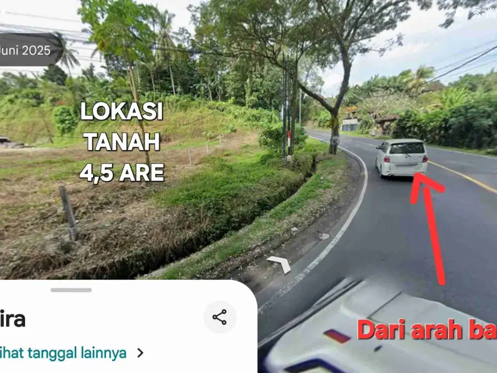 Dijual tanah 4,5are cocok utk bisnis/Ruko / usaha di jalan raya Selemadeg timur Tabanan Bali