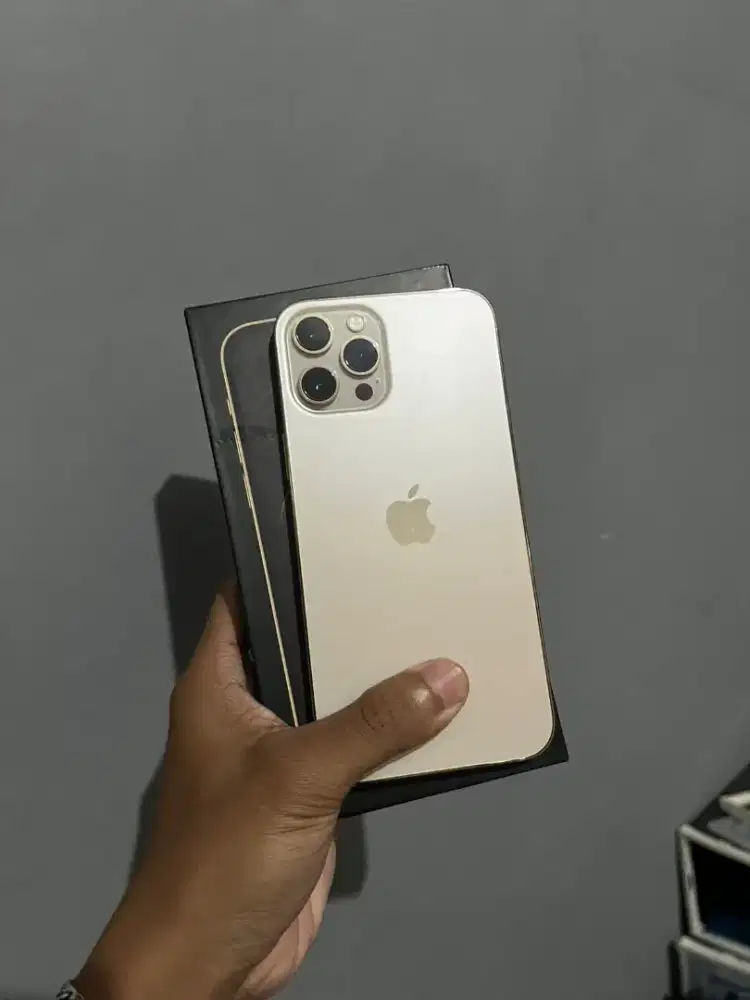 iPhone 12 promax 128 regis