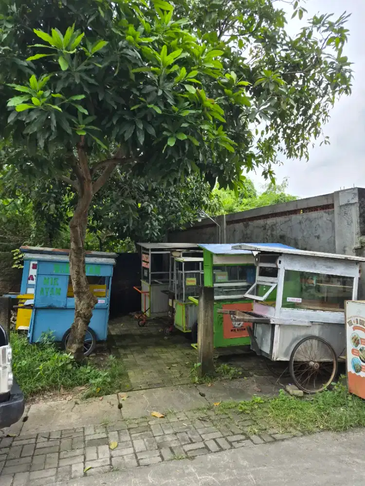 gerobak mie ayam / bakso / bubur ayam / soto / indomie / DLL