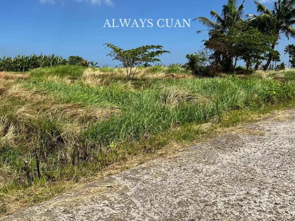 Tanah Kavling Villa Ekslusif Lokasi Belalang Dijual