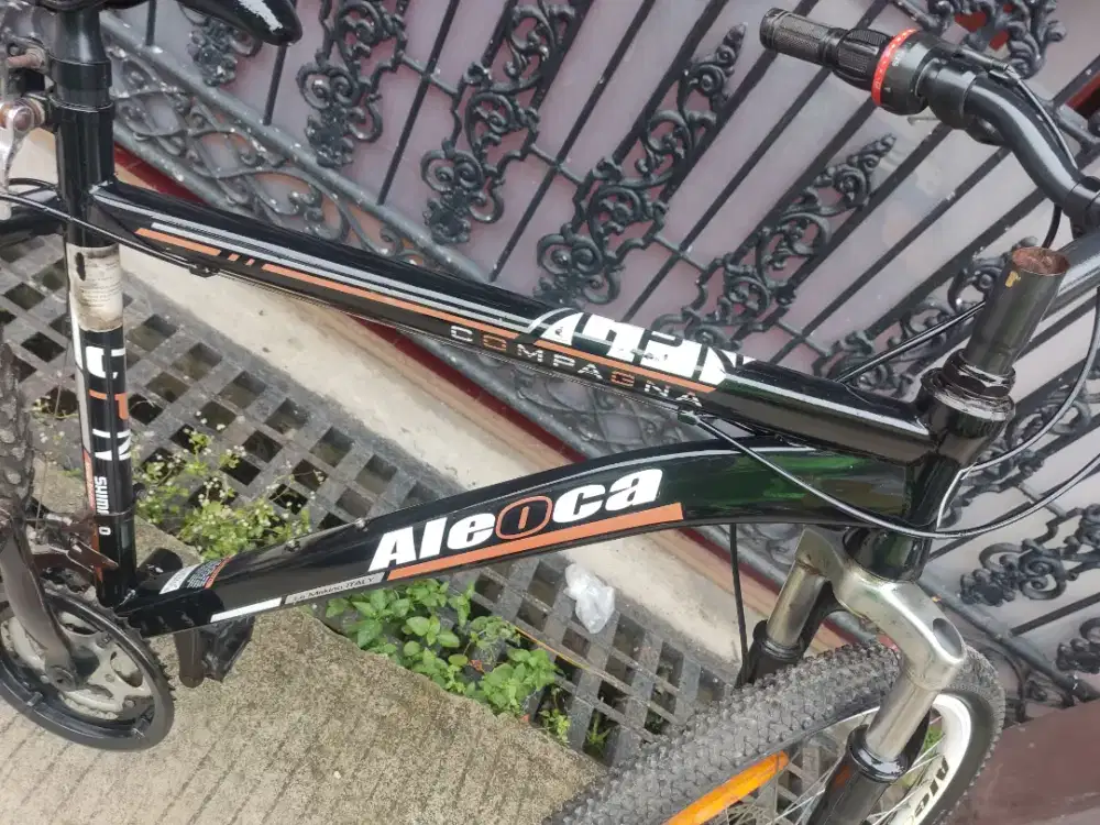 Merk Aleoca sepeda dewasa