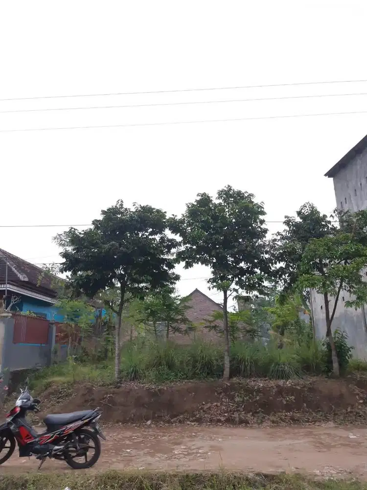 Tanah murah candirenggo singosari