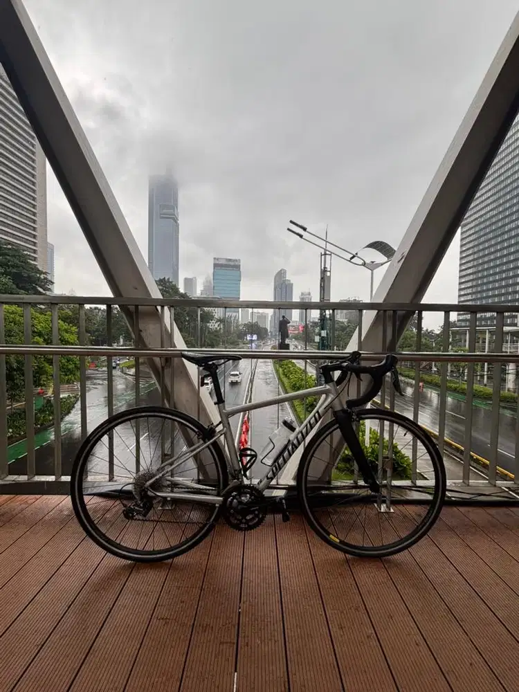 Specialized Allez E5 Silver size 49