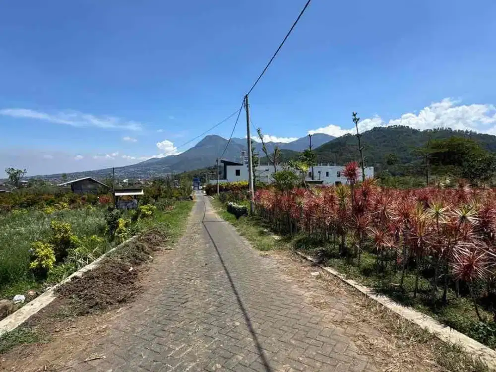 KEBUN BUNGA SUBUR KOTA BATU