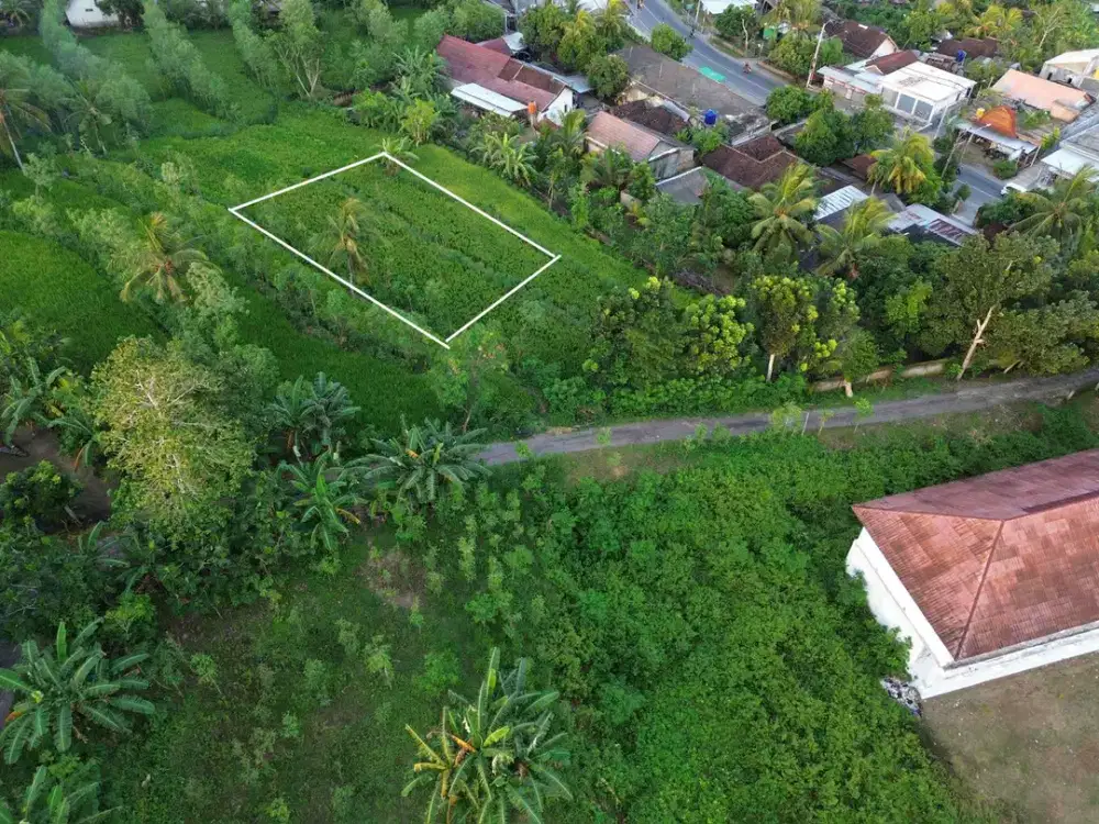 tanah murah di daerah pariwisata rembitan Kuta Mandalika Lombok. cocok untuk villa atau rumah tempat tinggal