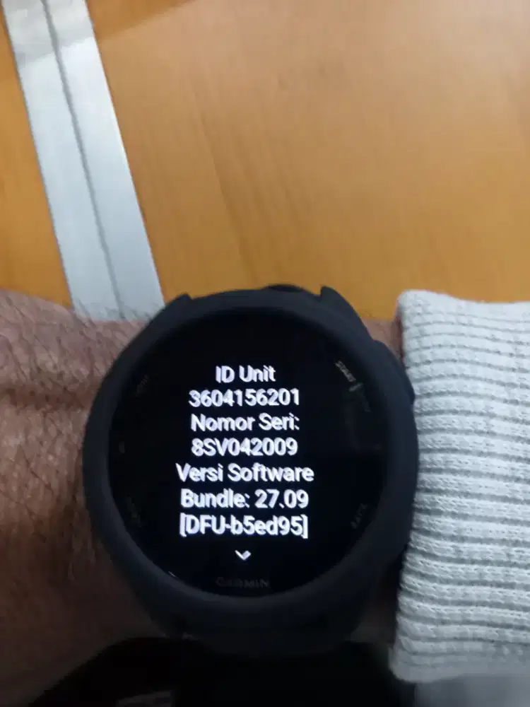 Jual Bu Garmin forerunner 165 music