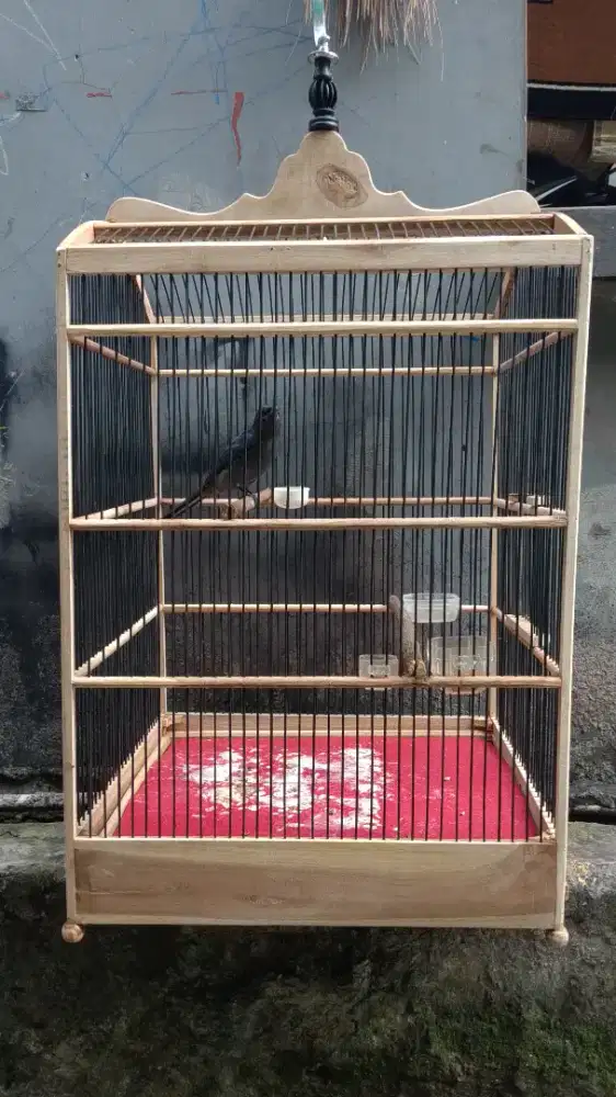 kandang kotak kayu burung