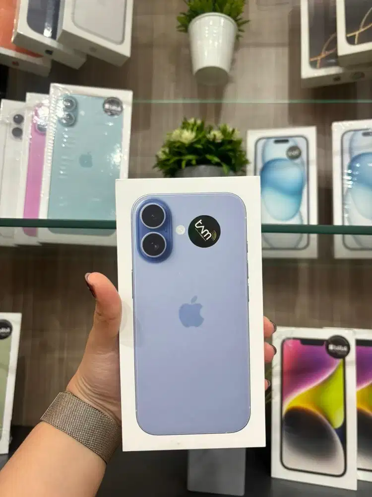 17 256 mist blue new