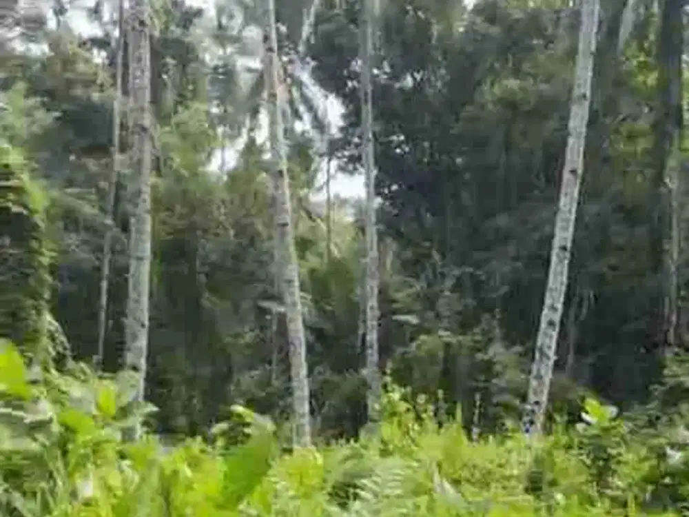 DIJUAL CEPAT TANAH MENARIK DAERAH CITRALAND, HARGA SANGAT MURAH