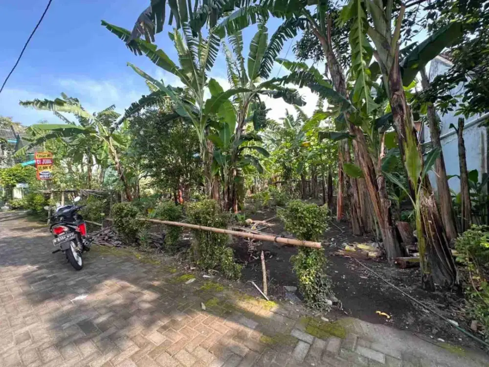 Tanah Pekarangan Di Plemburan jl. Kaliurang km 6 Dekat Kampus UGM Dan Pakuwon Mall