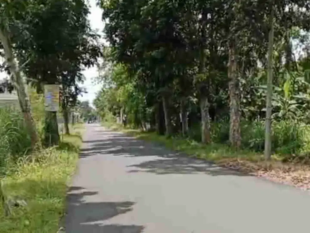 Tanah Asri Akses Bagus  Di Gito Gati Dekat Sleman City Hall ( SCH ) Dan Pusat Kota Jogja