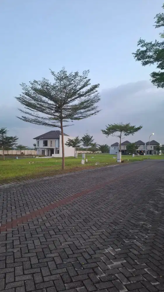 Dijual cepat Tanah Greenland