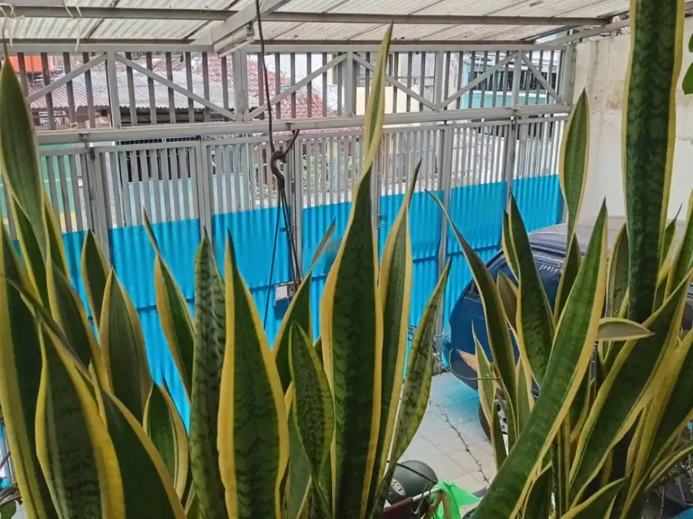 Dijual Rumah Tua Strategis Pusat Kota Bandung di Sayap Pajajaran Bandung