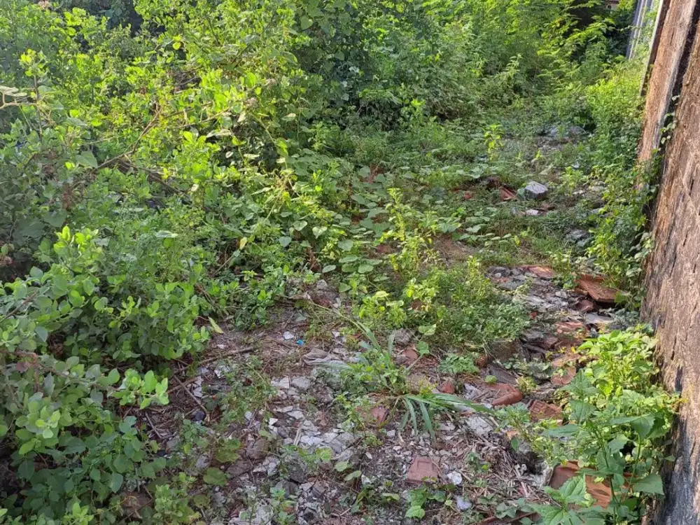 DIJUAL TANAH TAMBAK MEDOKAN AYU - SUDAH URUG