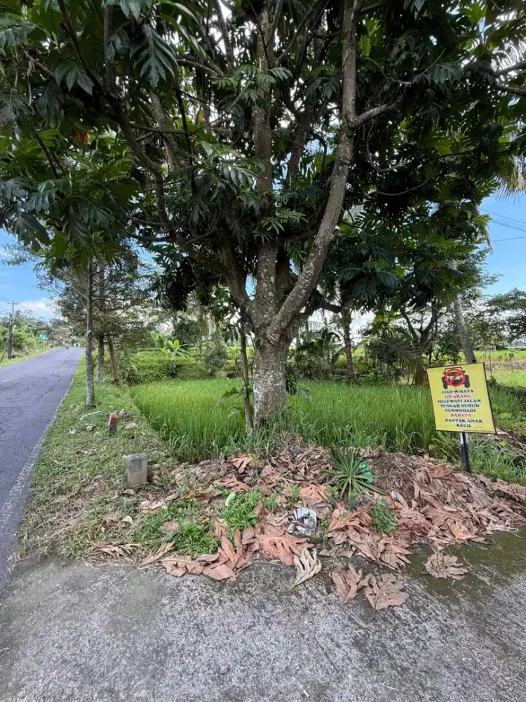 Tanah strategis dan luas di PakemBinangun jl Kaliurang KM 19 Sleman
