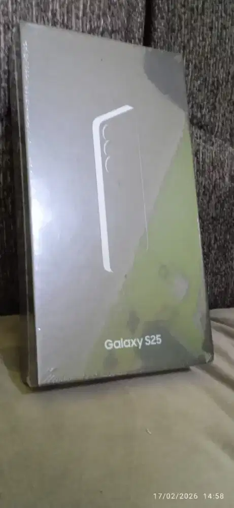 Samsung Galaxy S25 Reguler