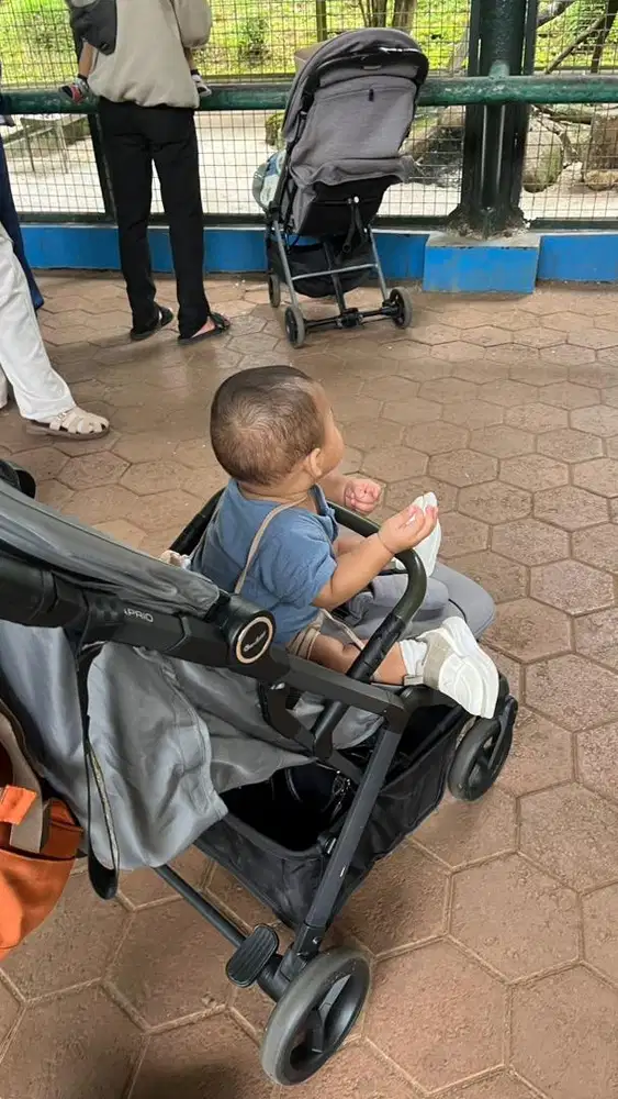 PENGASUH  BAYI 9 BULAN