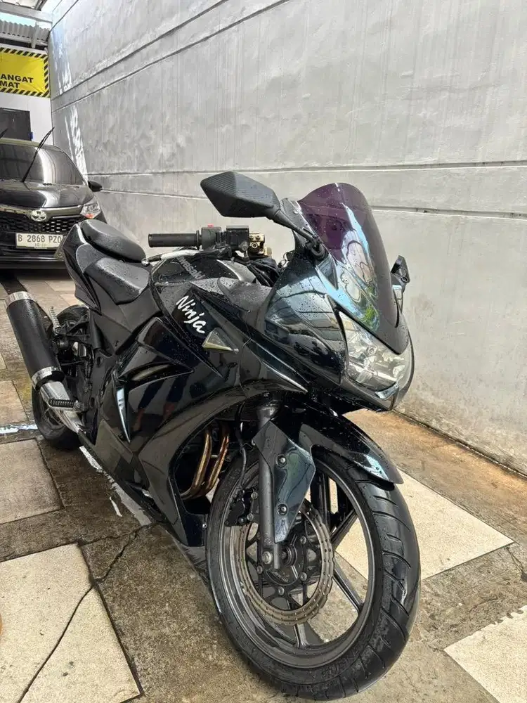 Ninja kawasaki 250cc 2010