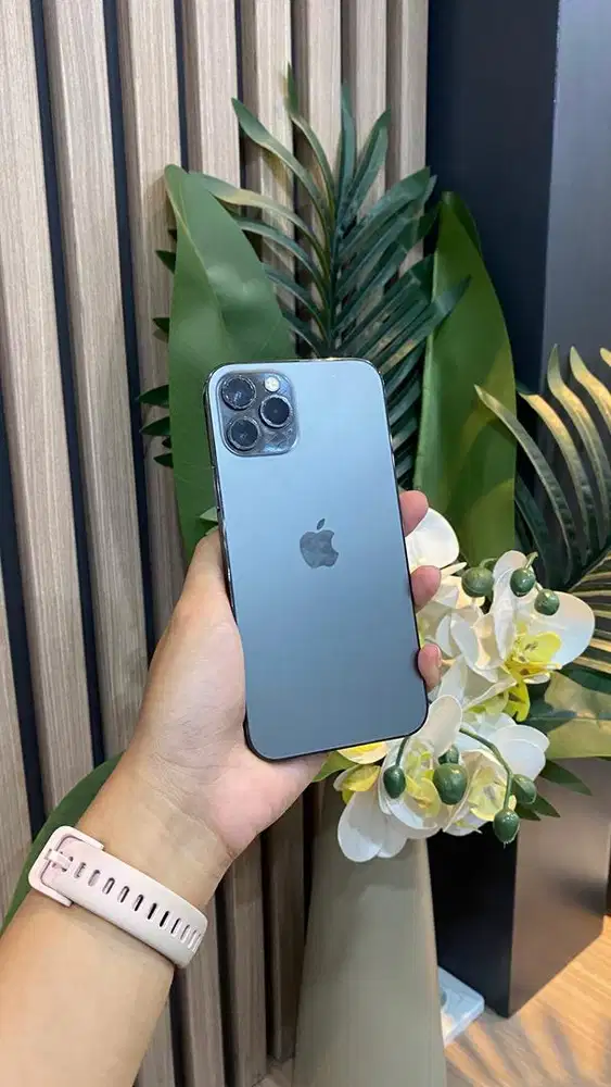 Ip 12 pro 256 gb graphite