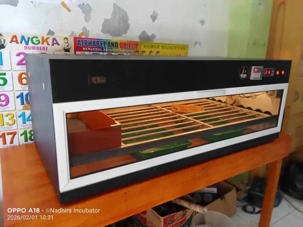 Mesin tetas telur otomatis