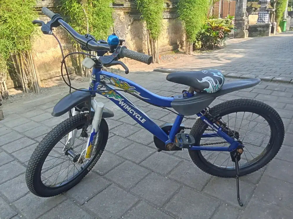 Sepeda anak WIMCYCLE R 18