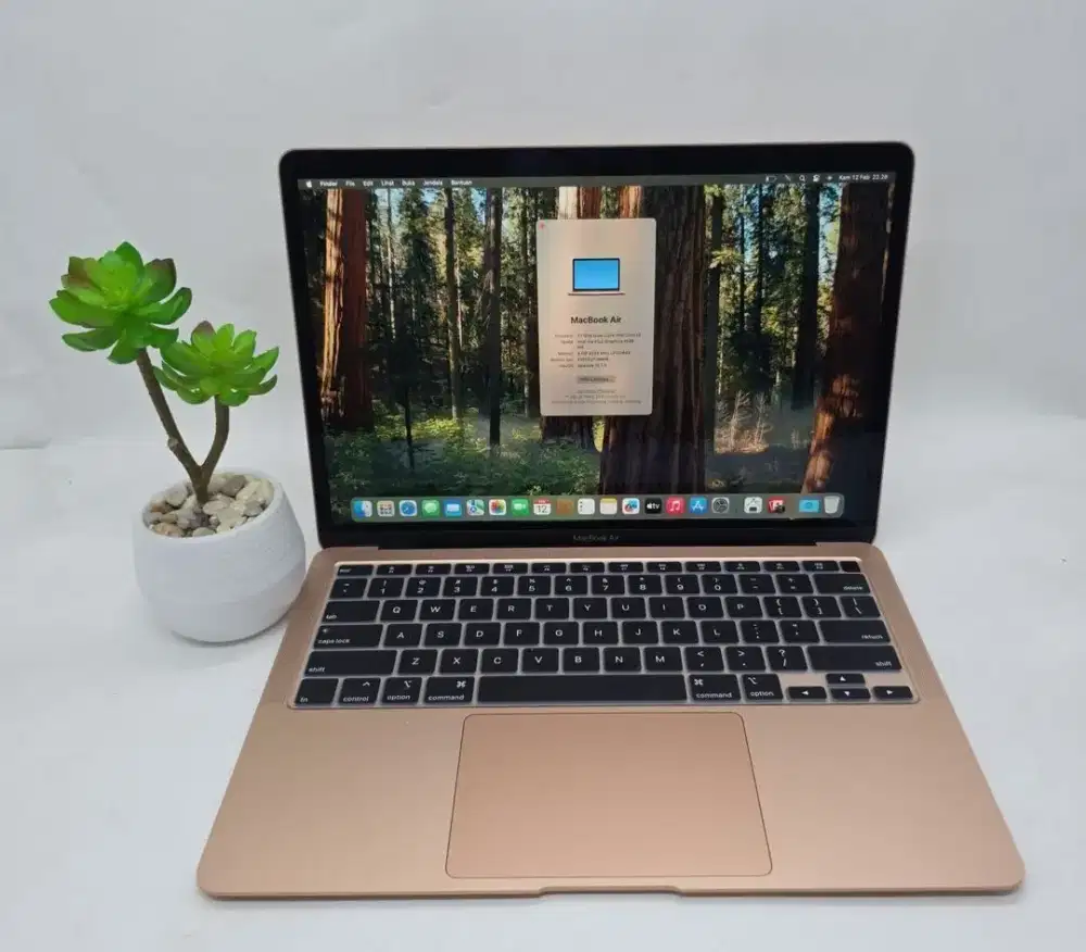 Macbook air 2018 core i5 8/128GB normal