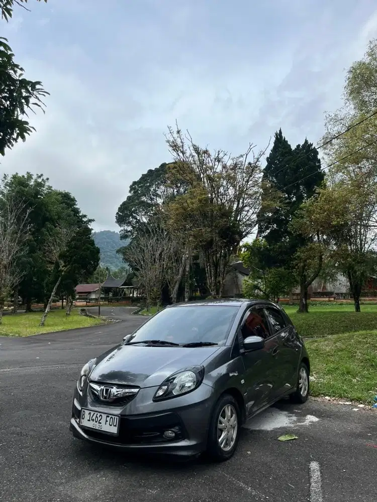 Brio E Manual Service Record 2014