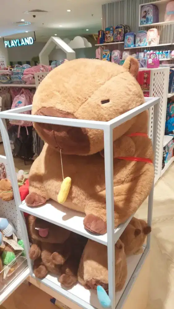 Dicari Admin untuk Indekos